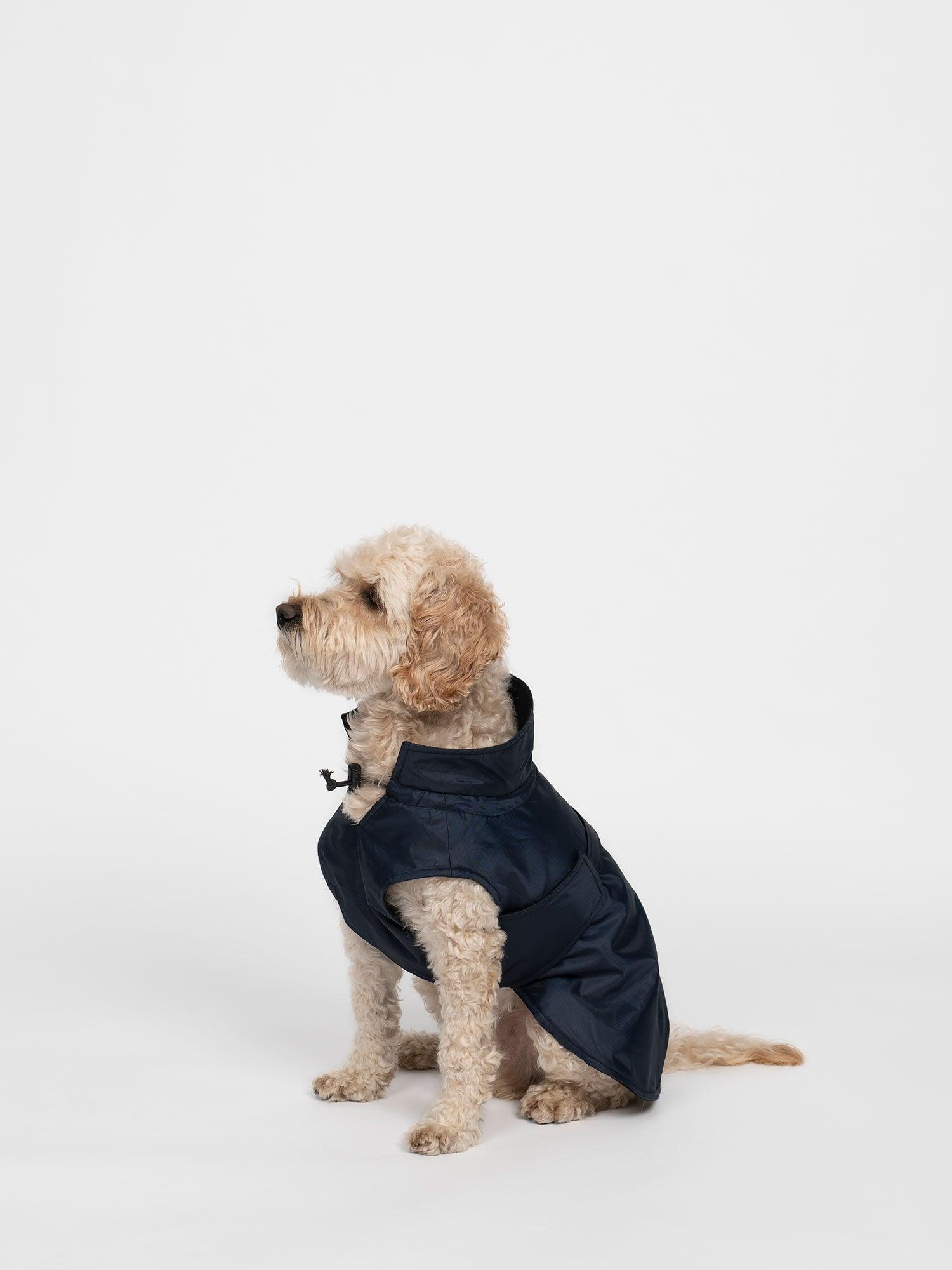 FREE PET COAT PATTERN– The Assembly Line shop free-pet-coat-pattern-the-assembly-line-shop